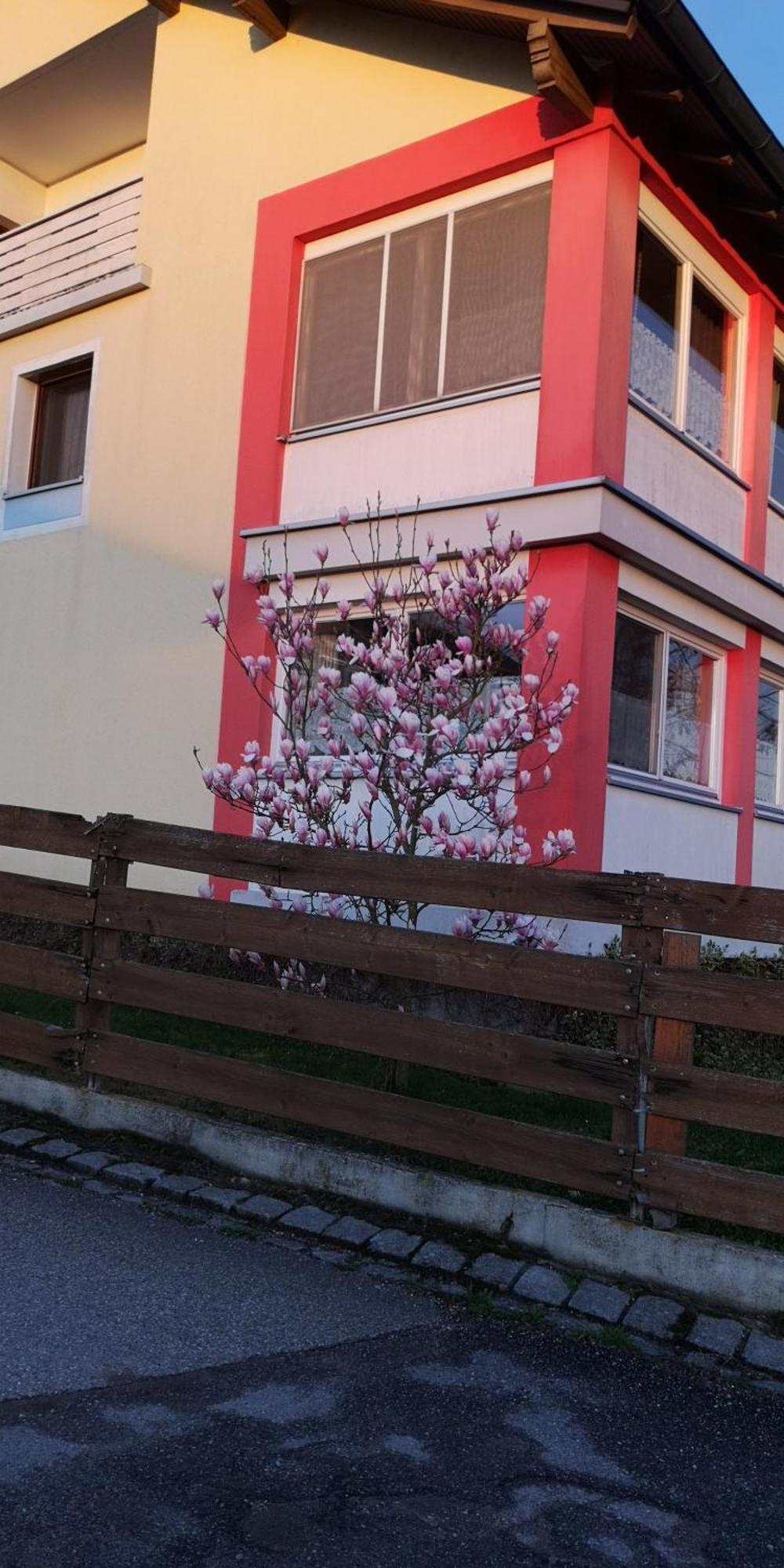 Vermietung Gisl Wiesent 外观 照片
